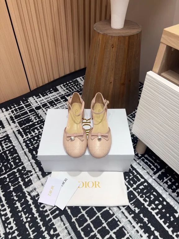 Dior Shoe 